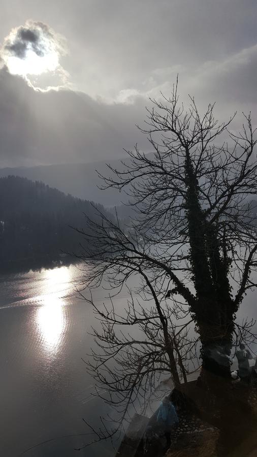 Vila Julija Bled Buitenkant foto