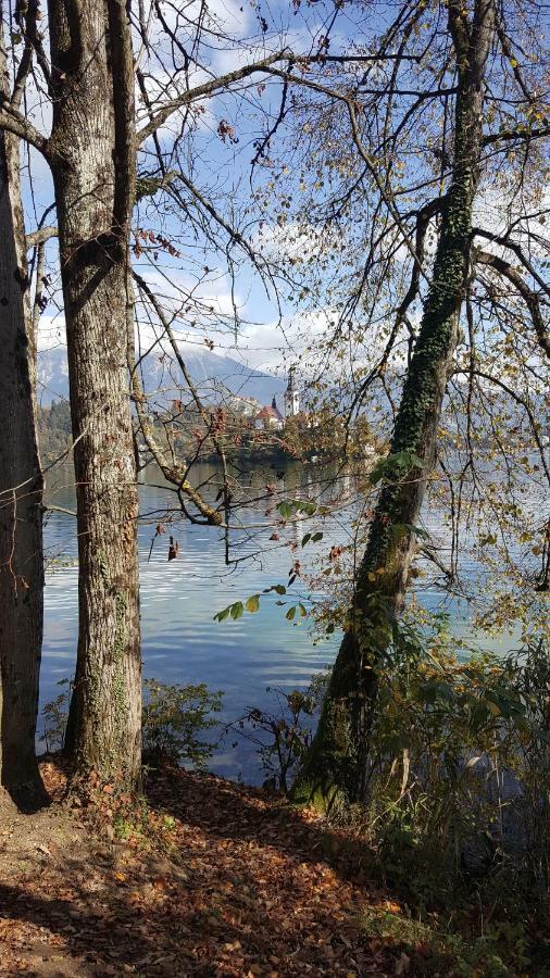 Vila Julija Bled Buitenkant foto